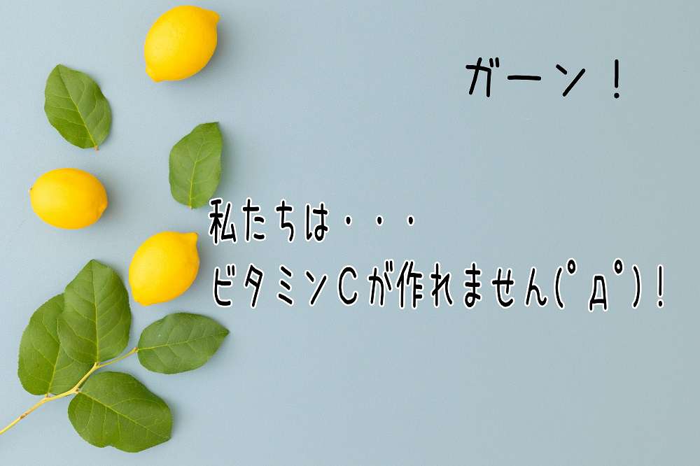 神奈川県川崎市 癌と糖尿病と痒みの関係