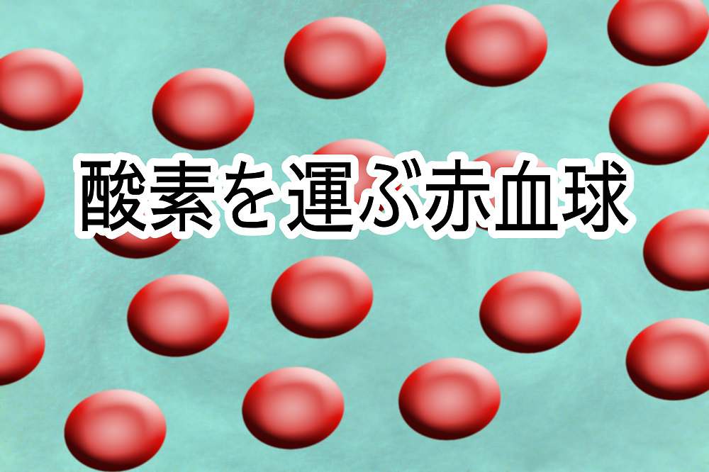 神奈川県川崎市 癌と糖尿病と痒みの関係